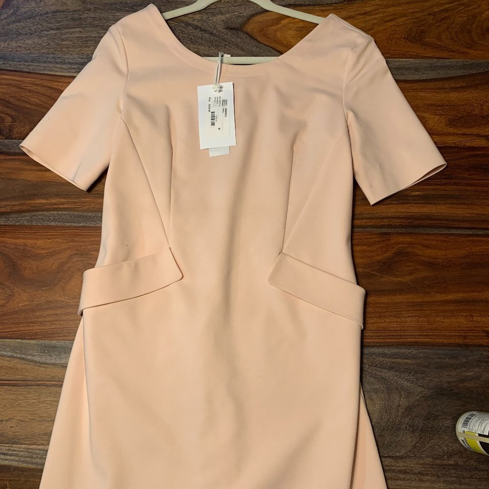 Classic Short Sleeve Mini Dress in Blush Pink (No Tags Anymore)